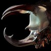 Лагатып тэлеграм-канала psychonotforu — [РЕСТ]- Псіхіхіхі.JPG