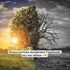 Логотип телеграм -каналу psychosocialconsultationberlin — Психологічна підтримка Українців