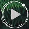 Логотип телеграм канала @psychotherapy_podcast — МСП; Подкаст о психотерапии «Откройте окна»