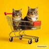 Логотип телеграм канала @psyforcat — Тележка с котиками 🛒