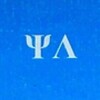 Логотип телеграм канала @psylingv — Психолингвистика