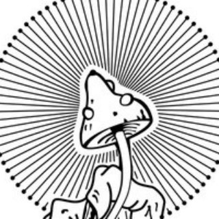 Logo of telegram channel psylives — ᴾˢʸᶜʰᵒ 🤺丂⼶⻈亇