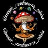 لوگوی کانال تلگرام psynibiru — Psy.nibiru