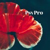 Логотип телеграм -каналу psyprogram — PsyPro - події психології