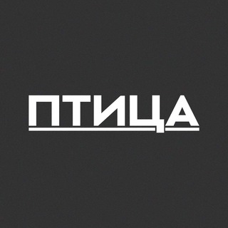 Логотип телеграм канала @ptica_abakan — Птица | Медиа из Сибири