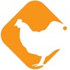 Логотип телеграм канала @pticainfo — Новости птицеводства / Портал Pticainfo