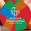 Логотип телеграм канала @pticefabrika — АО «Якутская птицефабрика»