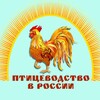 Логотип телеграм канала @pticevodstvovrossii — Птицеводство в России