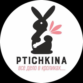 Логотип телеграм канала @ptichkina_larek — Ptichkina_alisa_larek