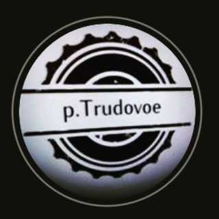 Логотип телеграм канала @ptrudovoe — p.Trudovoe