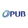 Logo of telegram channel pubfloodalerts — PUB Flood Alerts ✔