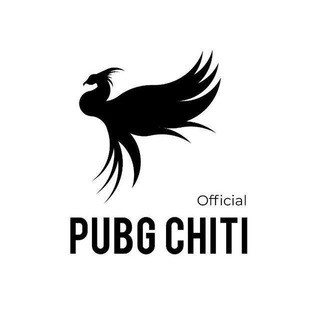 Telegram kanalining logotibi pubg_chiti — PUBG CHITI