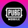 Логотип телеграм канала @pubg_shpilki — PUBG Mobile | Шпилки