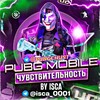 Логотип телеграм канала @pubgchust — PUBG Mobile чувствительность и раскладки | sensitivity By I S C A