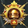 电报频道的标志 pubgcznb — PUBG