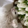 Логотип телеграм канала @public_memories — Оформление | Pinterest | Эстетика 🤍