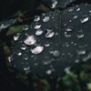 Логотип телеграм -каналу publicpoemsandsongs — Християнські вірші та пісні