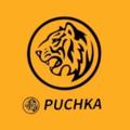 Logo saluran telegram puchkavip09 — ❤️💚❤️puchka🔴🟢Official 🟢🔴channel