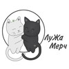 Логотип телеграм канала @puddlemerch — ЛуЖа Мерч