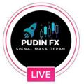 Logo saluran telegram pudinforex670 — LIVE FOREX PUDIN FX