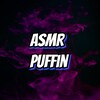Logo of telegram channel puffinsliv — ASMR Puffin