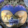 لوگوی کانال تلگرام puffpackspillsxanax_puertoricoo — #MARIJUANA22🔌 🚀 IN HUMACAO_FAJARDO🌿