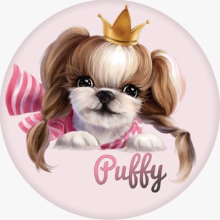 Логотип телеграм канала @puffy_groom — PUFFY GROOM ❤️ Сеть зоосалонов в Москве ✂️🐩🐕🐈😽