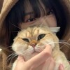 Логотип телеграм канала @puggg0 — ‼️ПЕРЕЕЗД‼️︎п𝐨к𝐨й п𝐲фли꒰ 🐈 ꒱