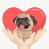 Логотип телеграм канала @pugshelprussia — Pugs_help_russia
