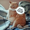 Логотип телеграм канала @puhistyeradosti — Пушистые Радости