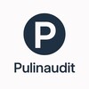 Логотип телеграм канала @pulinaudit — PulinAudit | Алексей Пулиновский