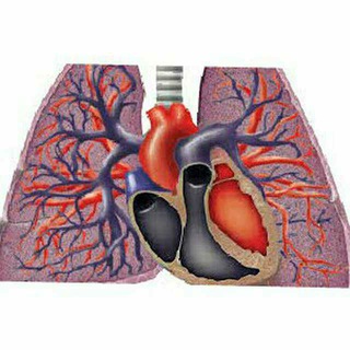 Logo of telegram channel pulmonaryc — pulmonary courses and books