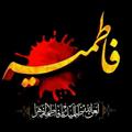 لوگوی کانال تلگرام pulpits1443 — أصوات المنابر الحسينية