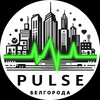 Логотип телеграм канала @pulsebelgorod — Пульс Белгорода