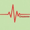 Telegram channel Пульс Елшанки logo