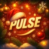 Логотип телеграм канала @pulsepartu — PULSE PARTY