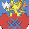 Лагатып тэлеграм-канала pulvoronovskij — Пул Вороновский