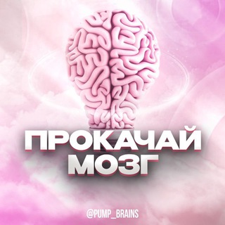 Логотип телеграм канала @pump_brains — Прокачай Мозг