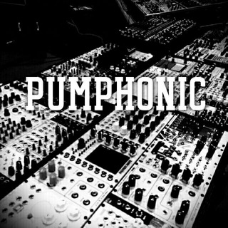 Логотип телеграм канала @pumphonic — ＰＵＭＰＨＯＮＩＣ🔊🎵🎶