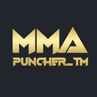 Логотип телеграм канала @puncher_tm — P U N C H E R ™