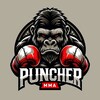 Logo of telegram channel puncher_mma295 — PUNCHER | MMA