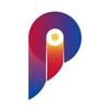 Telegram channel Punctul pe i logo