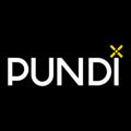 Logo saluran telegram pundixofficial — Pundi X Official Channel