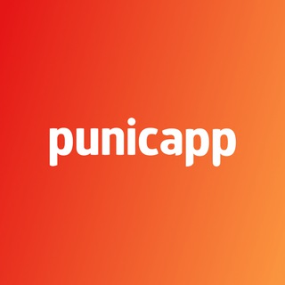 Логотип телеграм канала @punicapp_dev — Punicapp | Разработка мобильных приложений