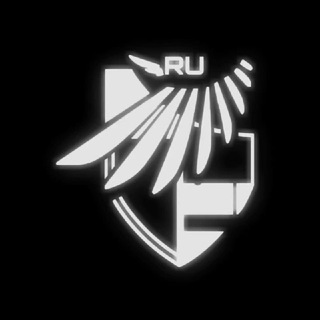 Логотип телеграм канала @punishing_global_ru — Punishing: Gray Raven | PGR | Ru