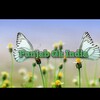 टेलीग्राम चैनल का लोगो punjab_gk_india — Punjab Gk India