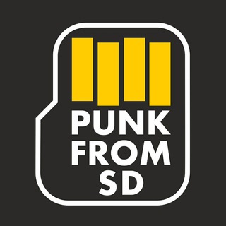 Логотип телеграм канала @punkfromsd — Punk From SD