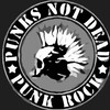 Логотип телеграм канала @punksnotdeadhoy — Коллекция андеграунда ( Раньше Гражданская оборона Король и шут Сектор газа панк рок все песни punk rock)