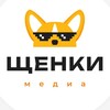 Логотип телеграм канала @puppiesmedia — Щенки media