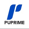 Logo of telegram channel puprimemain — PU Prime Official Channel